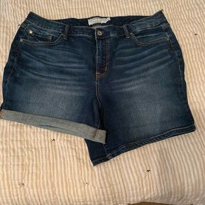 Torrid Denim Shorts
